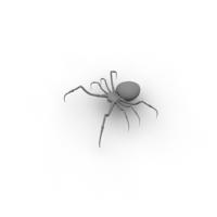 Spider