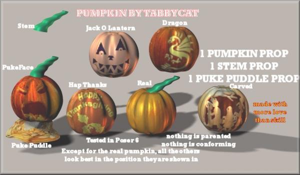 PUMPKIN by Tabbycat