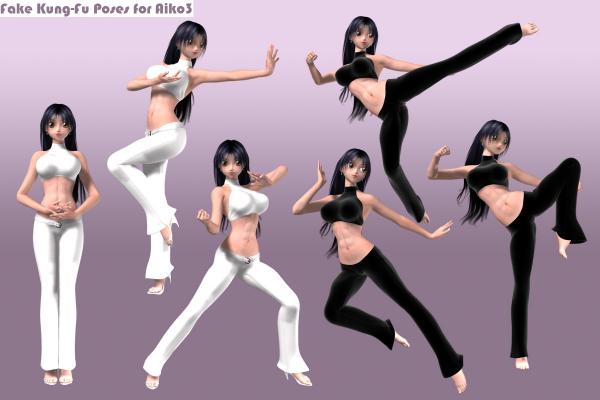 Fake Kung-Fu Poses for Aiko3