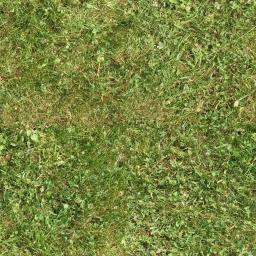 Grass 1 Seamless