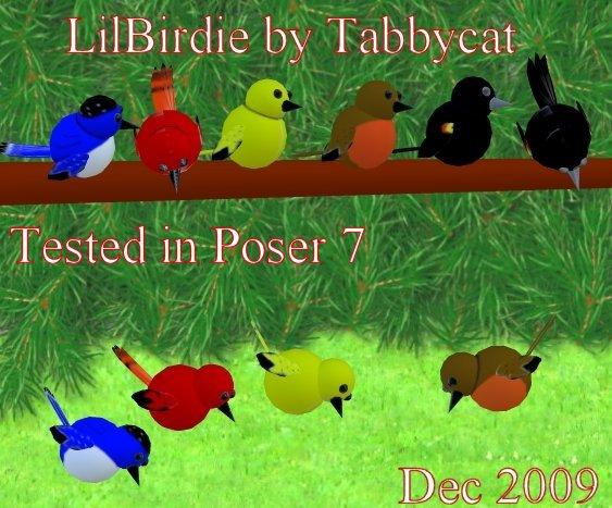 Lil Birdie by TC