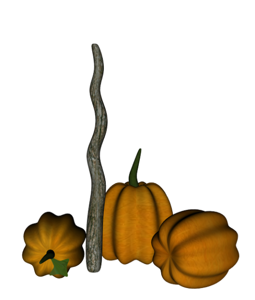 So-So Pumpkins and Silly Wavey Wand UPDATED 2-6-10