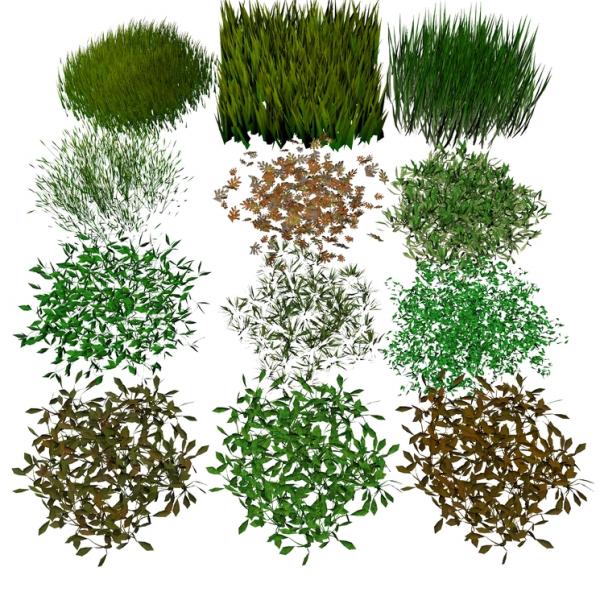 PP2s for 3DPlants - Groundcover Set