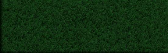 Create Grass texture for Photoshop CS4