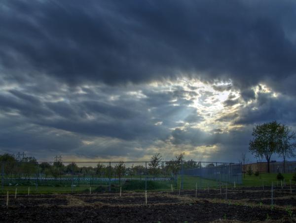 Crepuscular Rays