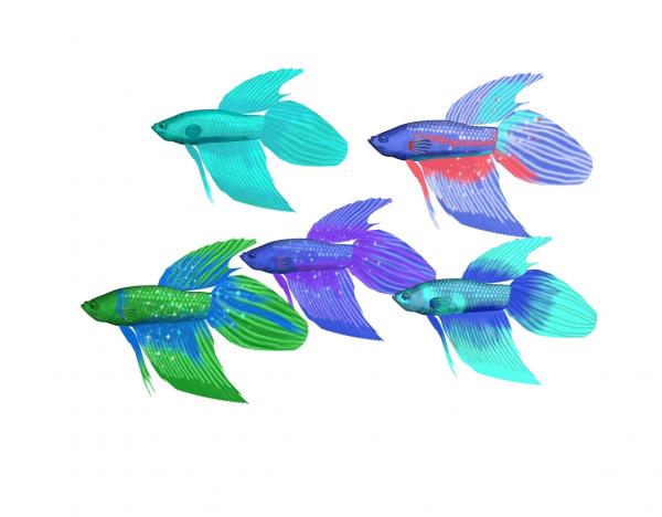 Variations for RedBetta