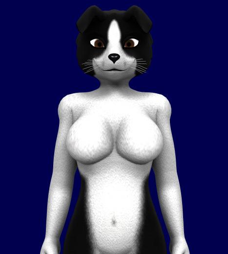 Border Collie Texture Set for Krystal