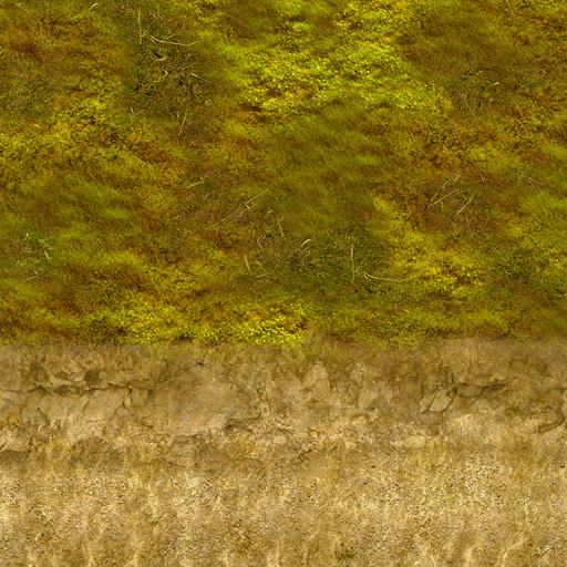 Horizontal seamless rock & grass texture