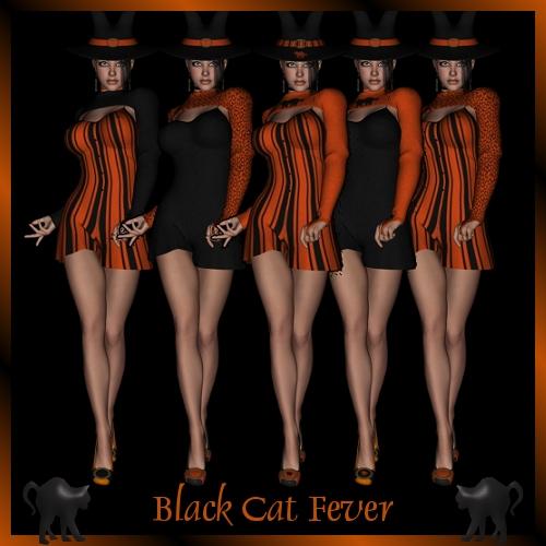 Black Cat Fever