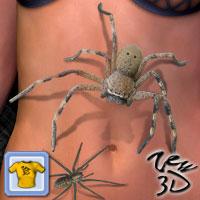 Spider Pack1 for CLOTHER