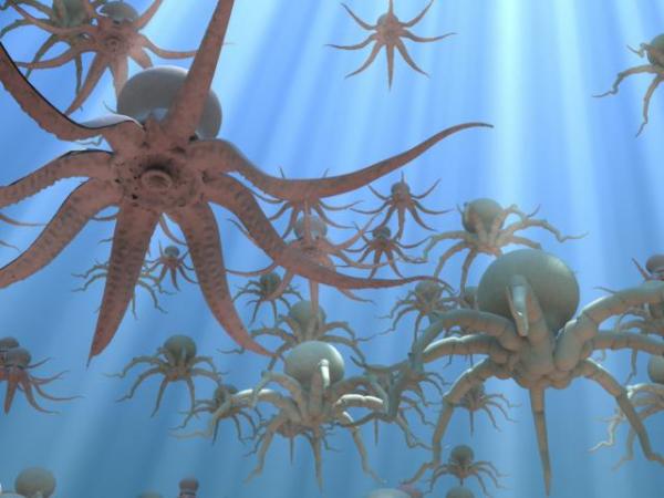 Octopus Underwater Scene