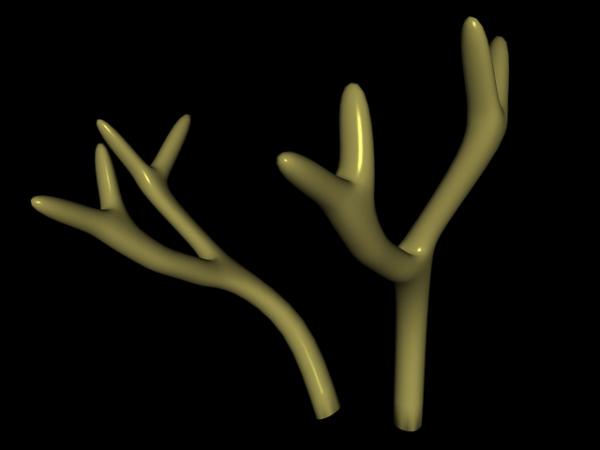 Antlers