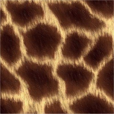 Giraffe Skin