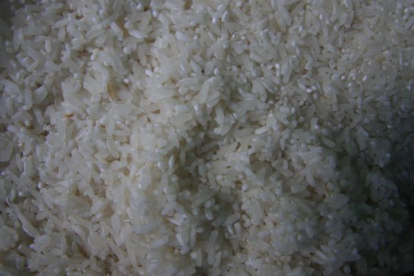 Rice