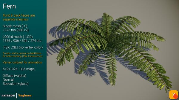 Fern v1 Redux