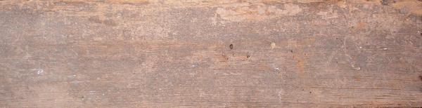 Wood011