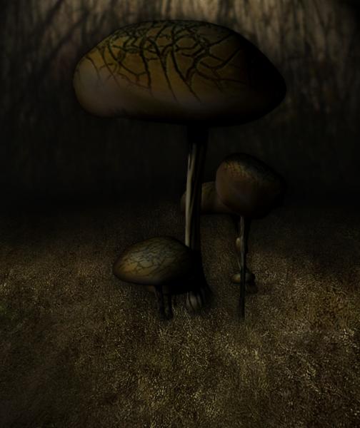 Dark Mushroom