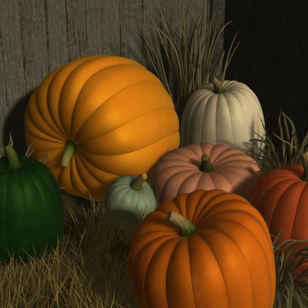 The Pumpkin for DAZ Studio