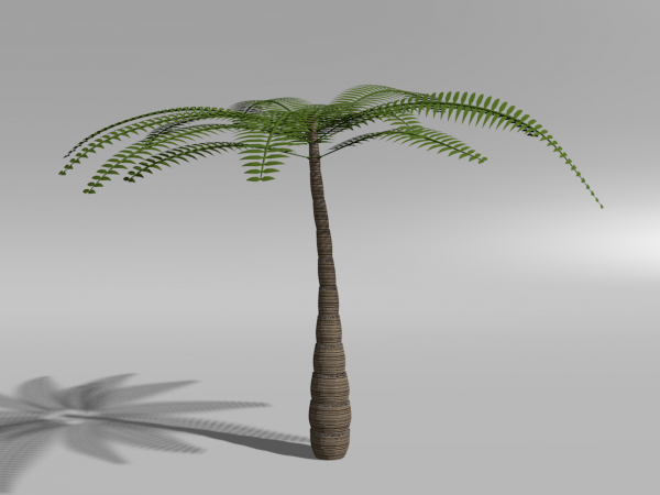 tree model free blender 3d 3D ShareCG Palm  Tree Blender  Model