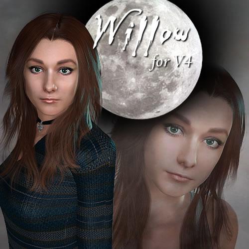 Willow for V4