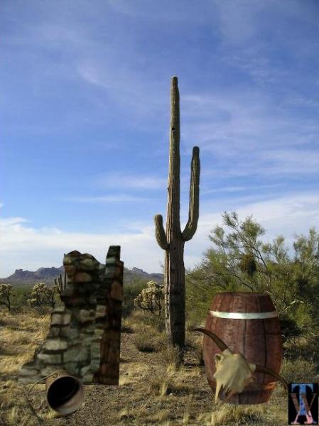 Desert Scenery 2