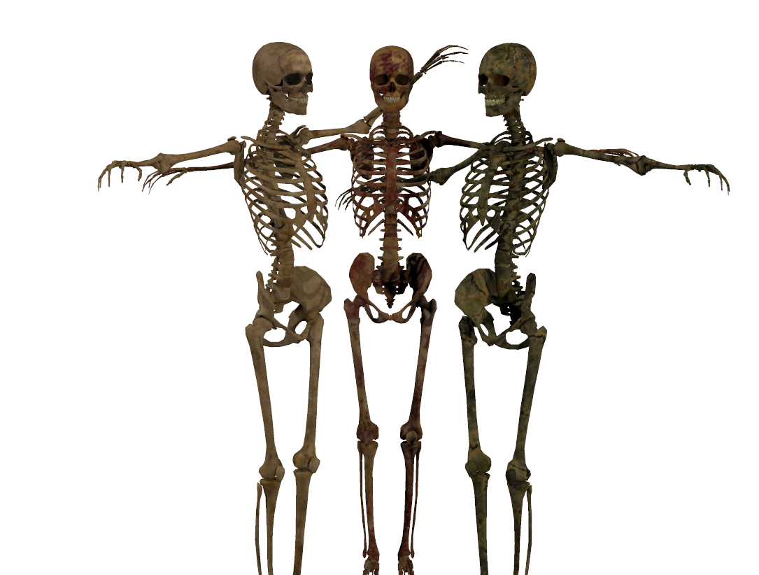Гиг скелет. Daz Studio Skeleton model. Скелет с подзорной трубой.