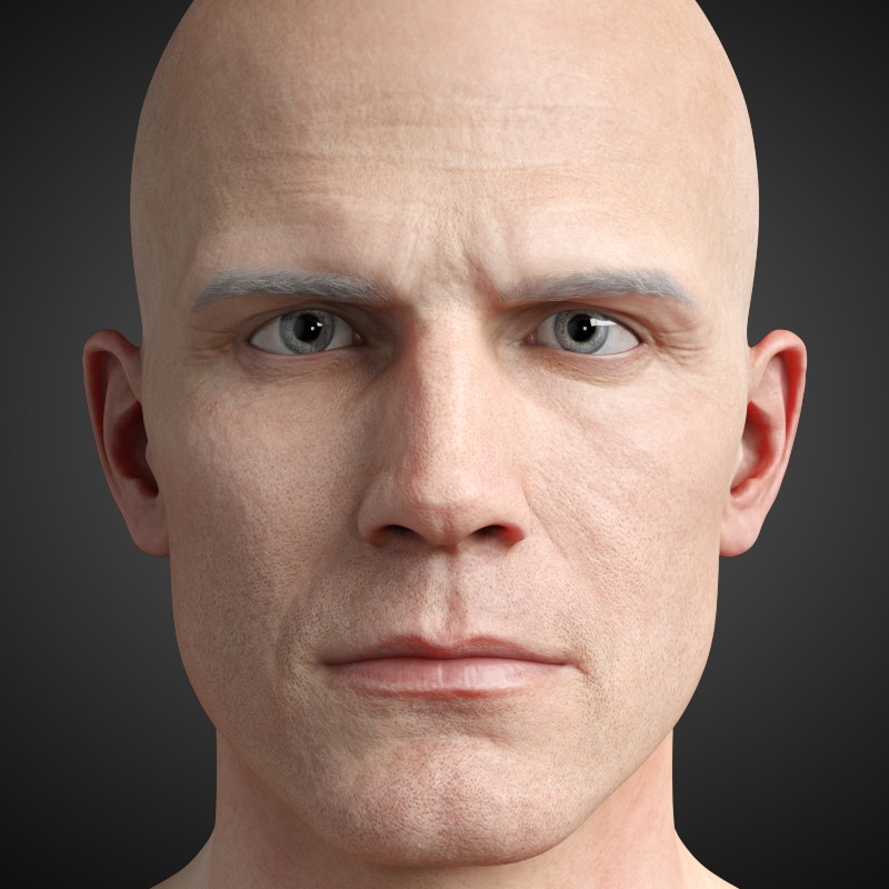 Dante DMC5 Free Eyebrows for Genesis 8 Male - DAZ Studio