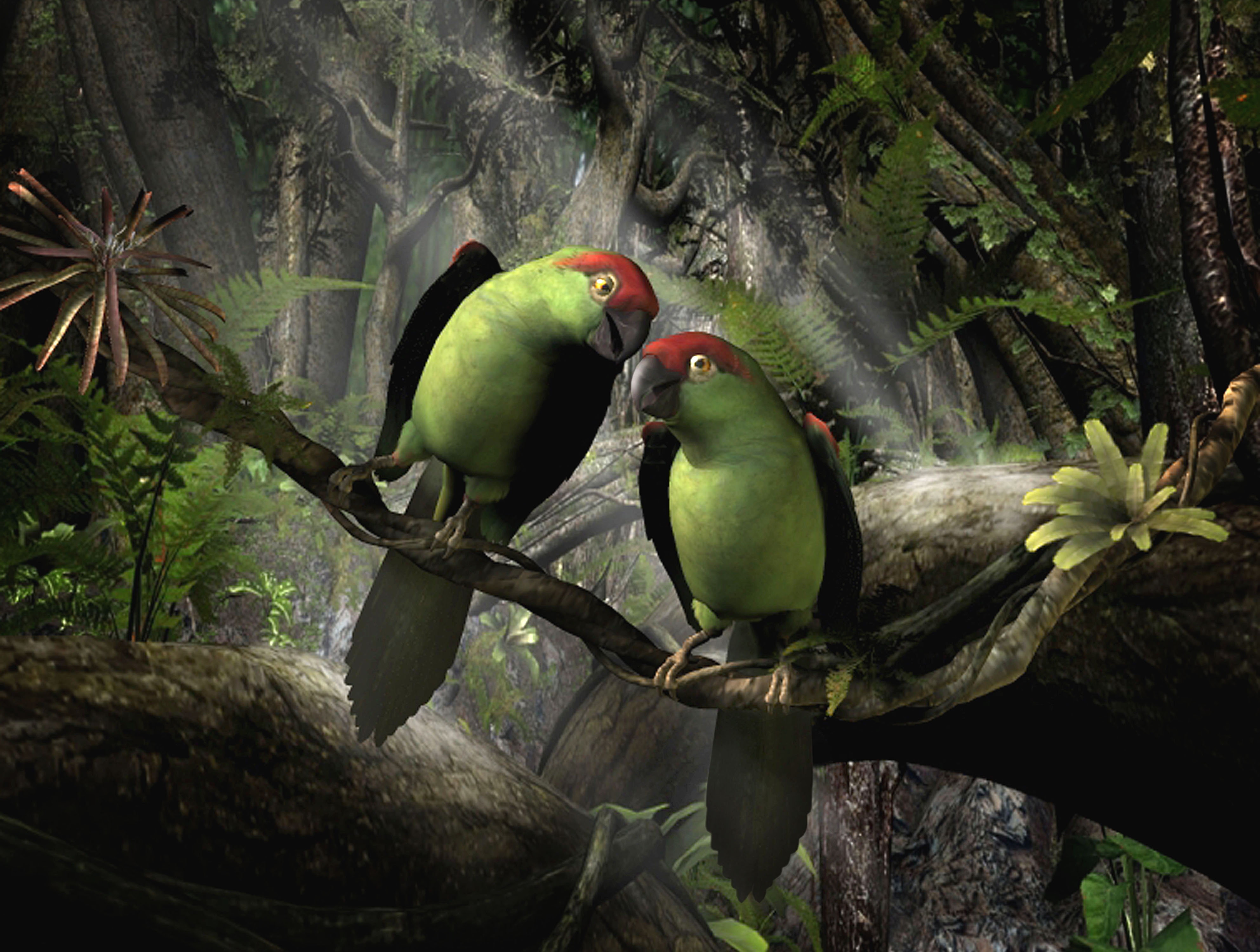 Love in the jungle - 3D and 2D Art - ShareCG