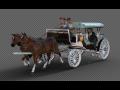 Horse drawn carriage 8